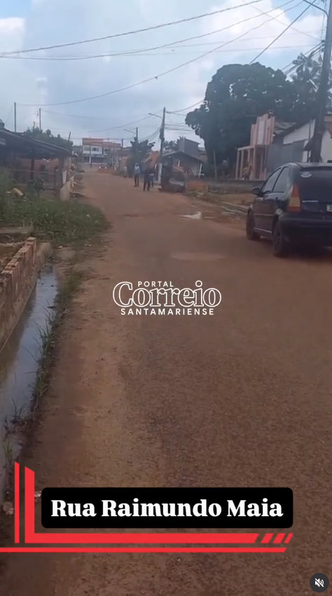 Enxame de Abelhas atacam animais na rua Raimundo Maia