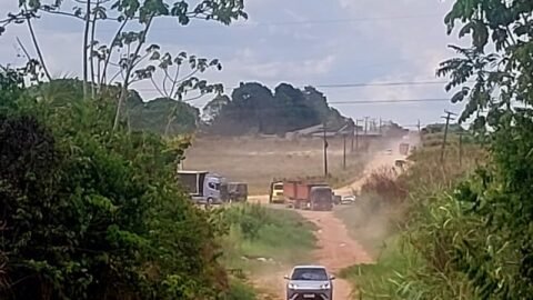 Carreta atravessa na BR-316 e causa congestionamento em Santa Maria do Pará